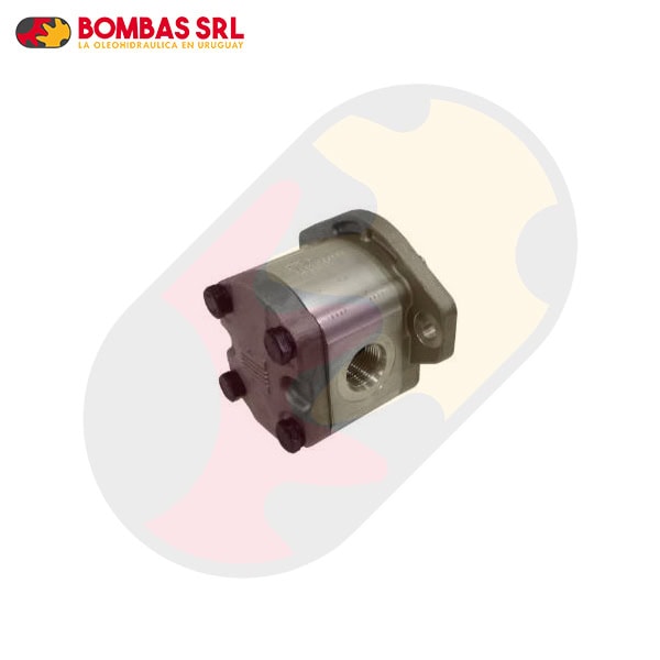 Bomba para Varios Pulverizador - Imagen 2