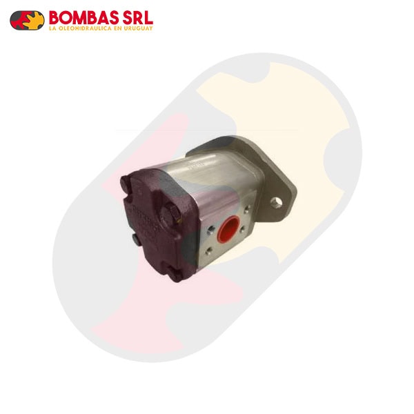 Bomba para Deutz Tractor AX 6.175 - Imagen 2