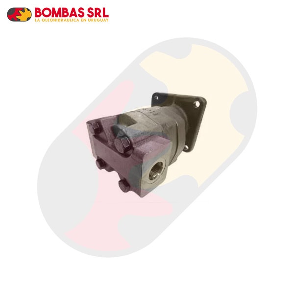 Bomba para CNH Pala-retroexcavadora 580M - 570LXT - 580L - 570MXT - Imagen 2